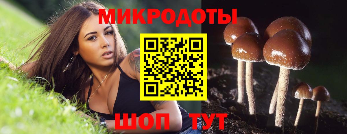 Галлюциногенные грибы GOLDEN TEACHER Владикавказ