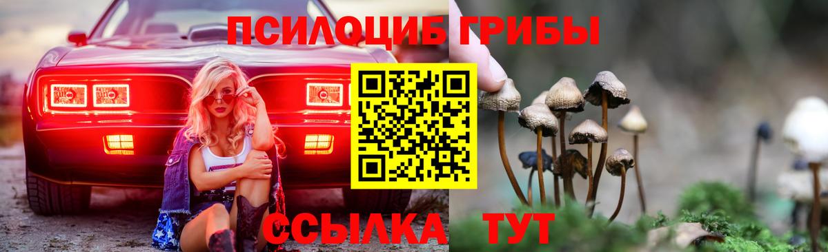 Галлюциногенные грибы ЛСД  Вход с VPN  где купить   Владикавказ 